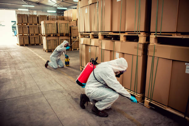 Best Affordable Pest Control Services  in Reminderville, OH