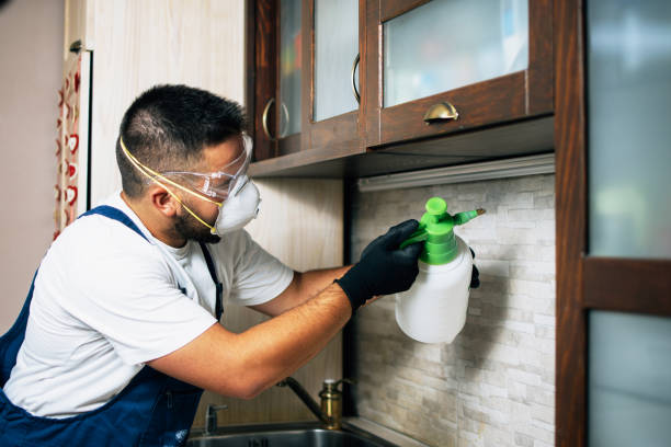 Best Exterminator Services  in Reminderville, OH