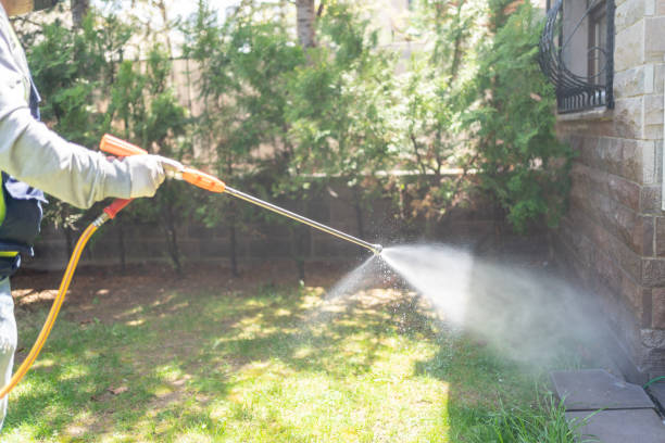 Best Wasp Removal Services  in Reminderville, OH