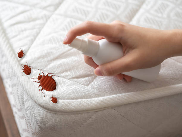 Best Best Pest Control Companies  in Reminderville, OH