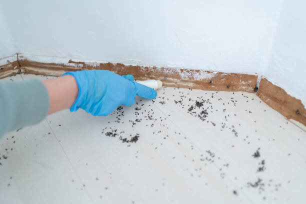 Best Residential Pest Control  in Reminderville, OH
